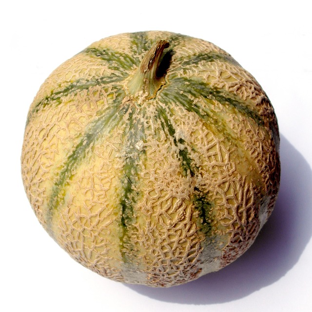 Melon